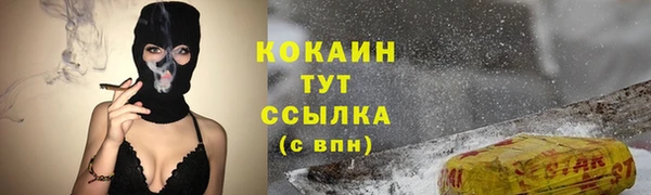 гашик Балахна