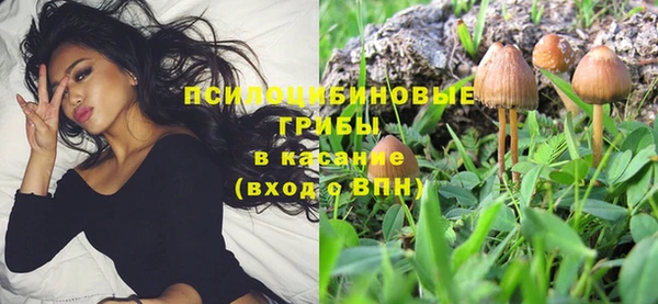 прущая мука Баксан