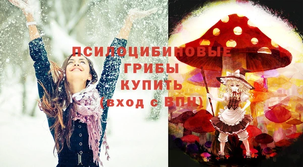 гашик Балахна